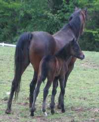 Razz and her mommy, Ruby