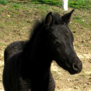 Riddle outside at 19 days old