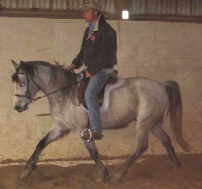 Zoot troting, April 2008