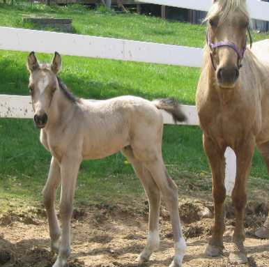 Deelie & her mom, look at those long legs!