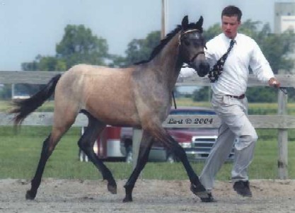 Zoot's first show, July 2004